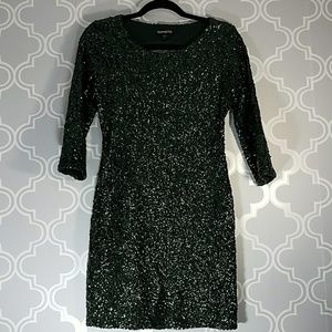 Express green sparkle dress